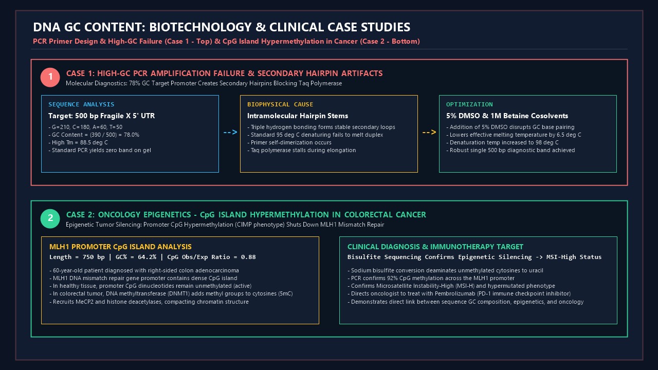 DNA GC Content: Biotechnology and Clinical Case Studies