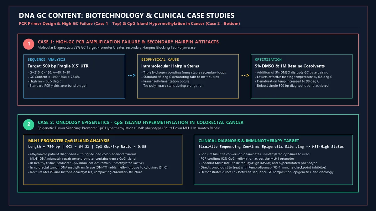 DNA GC Content: Biotechnology and Clinical Case Studies