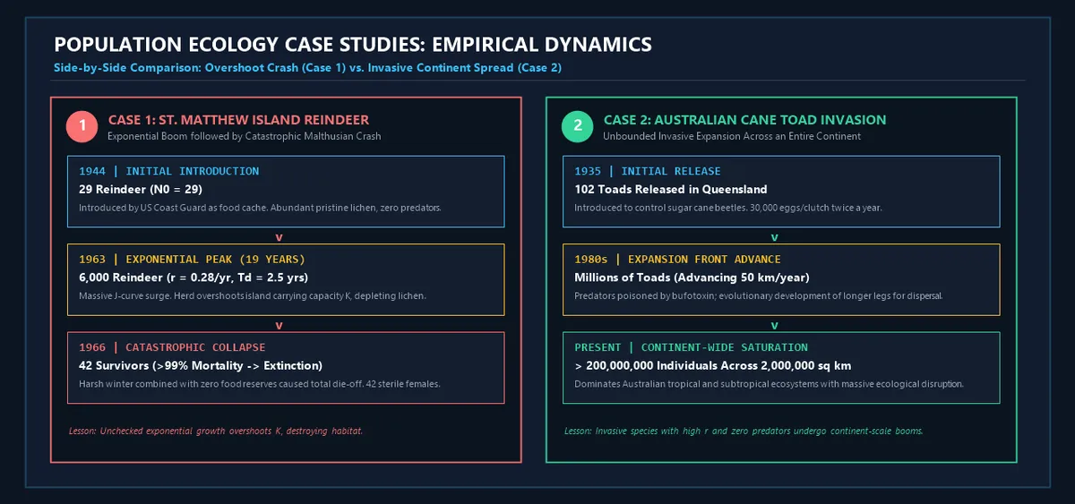 Case 1 and Case 2 Side-by-Side Comparison: St. Matthew Reindeer vs. Australian Cane Toads