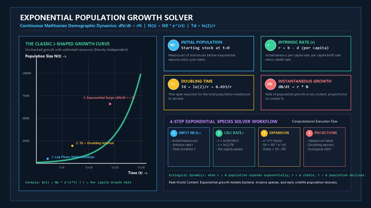 Exponential Population Growth Infographic